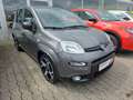 Fiat Panda Sport Grau - thumbnail 2