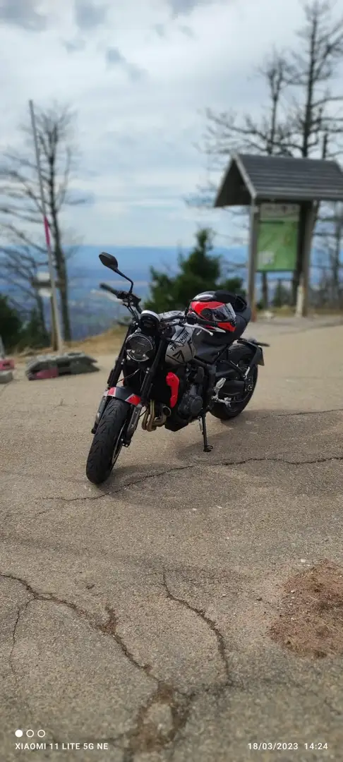 Triumph Trident 660 Gri - 1