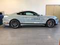 Ford Mustang MACH ONE 5.0 i V8 Grey - thumbnail 8