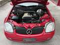 Mercedes-Benz SLK 200 SLK Roadster - R170 Rot - thumbnail 14
