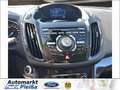 Ford Kuga 2.0 TDCi 4x4 Aut. Individual Schwarz - thumbnail 14
