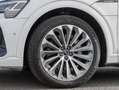 Audi e-tron 50 Q S LINE MATRIX PANO BuO L21 White - thumbnail 7