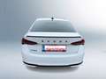 Skoda Octavia Sportline TDI DSG Weiß - thumbnail 4