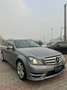Mercedes-Benz C 250 SW cdi (be) Executive 4matic auto Gris - thumbnail 1