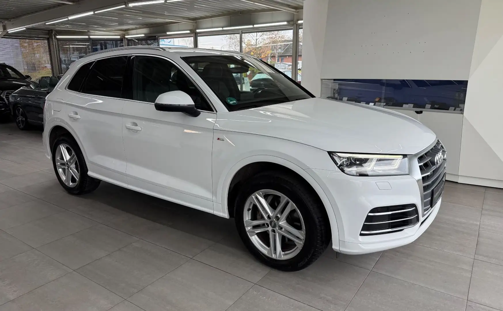 Audi Q5 *S-Line Sport*Quattro*Navi*LED*SITZH* Weiß - 1