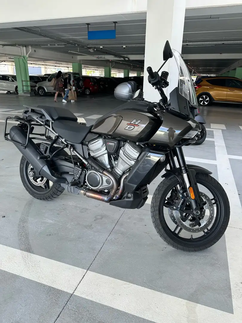 Harley-Davidson Pan America standard - 2