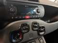 Fiat Panda 1.0 firefly hybrid City Life-14.082 KM-TAGLIANDATA Blu/Azzurro - thumbnail 13