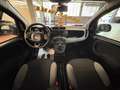 Fiat Panda 1.0 firefly hybrid City Life-14.082 KM-TAGLIANDATA Blu/Azzurro - thumbnail 11
