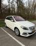 Mercedes-Benz B Electric Drive (Electric Drive) 250 e Art - thumbnail 9