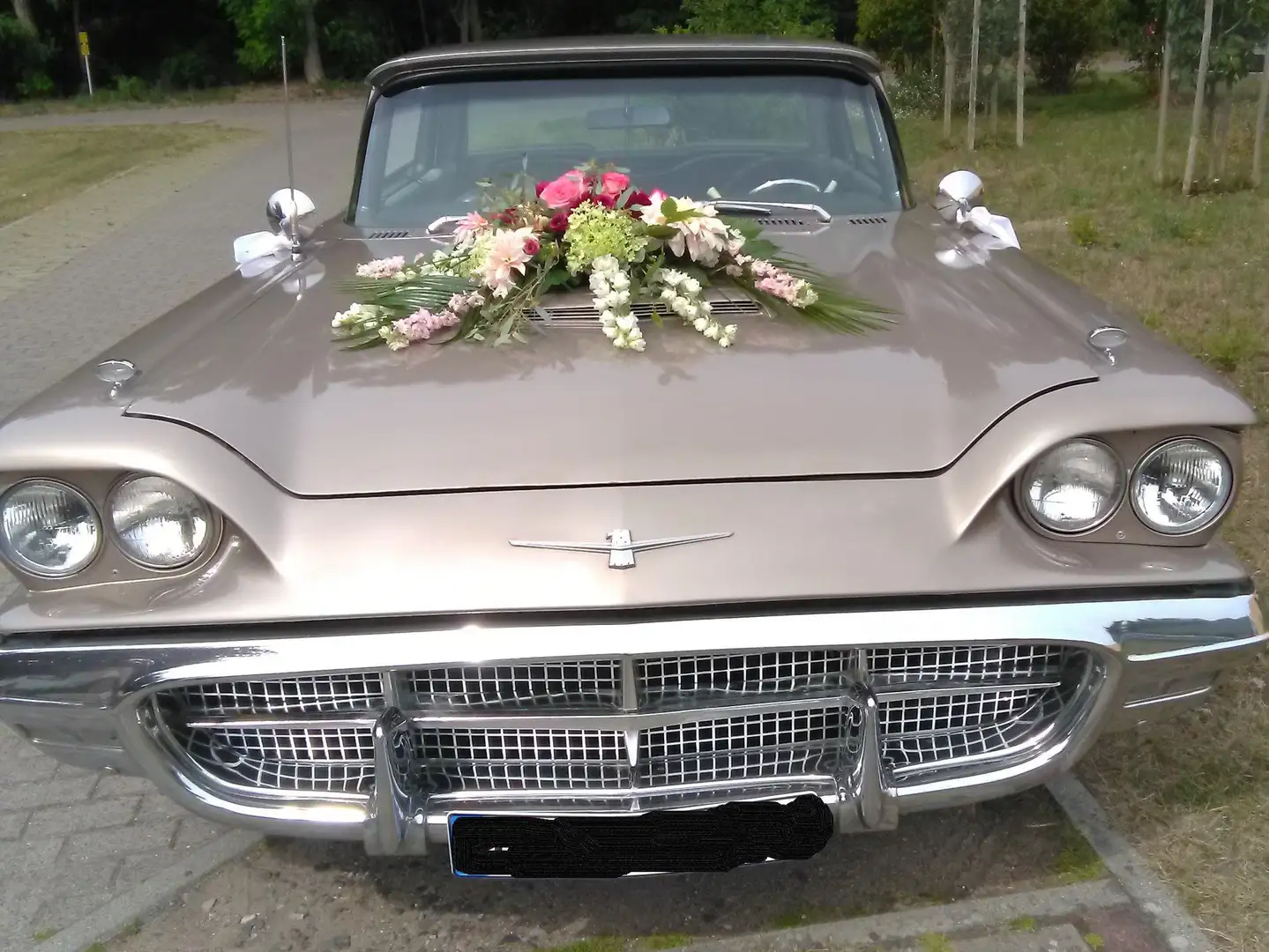 Ford Thunderbird Marrone - 1