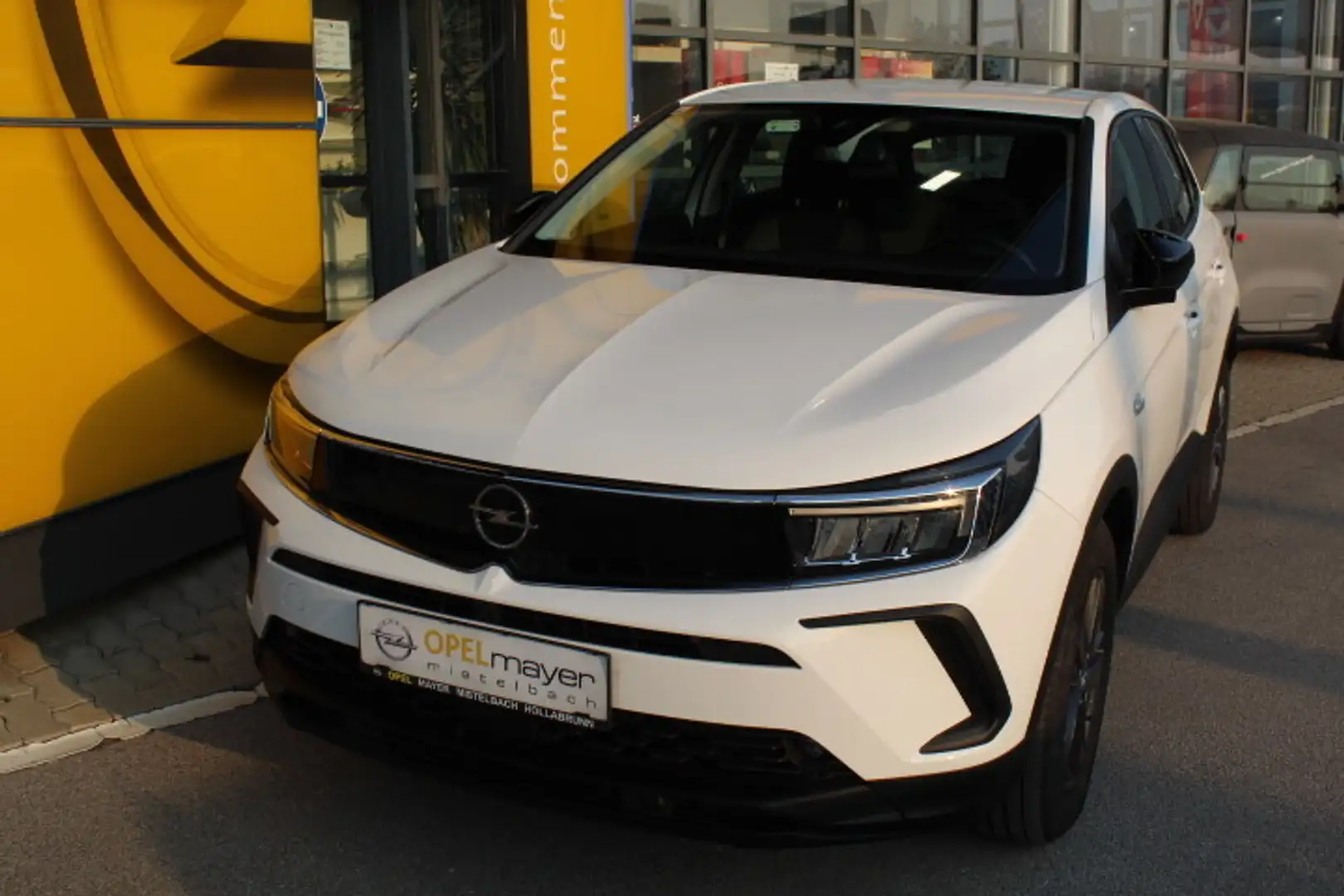 Opel Grandland 1,5 Diesel Business Edition Aut. Start/Stop Weiß - 1
