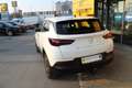 Opel Grandland 1,5 Diesel Business Edition Aut. Start/Stop Weiß - thumbnail 4