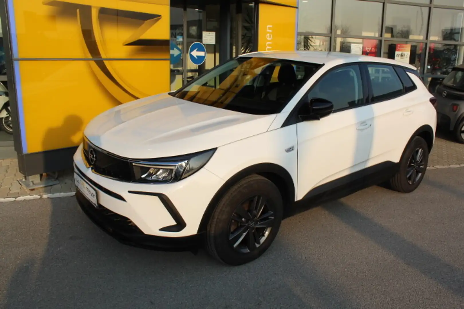 Opel Grandland 1,5 Diesel Business Edition Aut. Start/Stop Weiß - 2