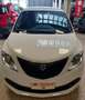 Lancia Ypsilon 1.2 69 CV 5 porte S&S Elefantino Blu Wit - thumbnail 1
