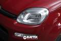 Fiat Panda 1.0 Firefly Hybrid 70CV 5p.ti + Pack City Rouge - thumbnail 3