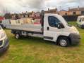 Citroen Jumper 2.2 HDI Cassone fisso CV 120 Blanc - thumbnail 25