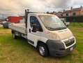 Citroen Jumper 2.2 HDI Cassone fisso CV 120 Blanc - thumbnail 28