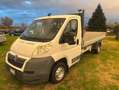 Citroen Jumper 2.2 HDI Cassone fisso CV 120 Bianco - thumbnail 13