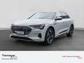 Audi e-tron 50 Q S LINE LM20 NAVI+ BuO HuD AHK PANO Weiß - thumbnail 1