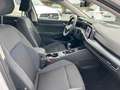Volkswagen Golf VIII Lim. United *LED*SHZ*29tkm* Weiß - thumbnail 8