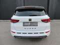 CUPRA Ateca 1.5 TSI DSG 150 Weiß - thumbnail 10