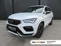 CUPRA Ateca 1.5 TSI DSG 150 Weiß - thumbnail 1