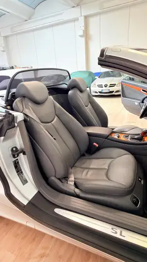 Mercedes-Benz SL 500 cat — foto 12