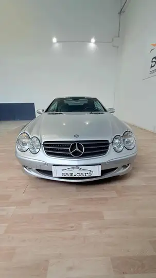 Mercedes-Benz SL 500 cat — foto 8
