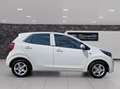 Kia Picanto Titan Klima Sitz+Lenkradheitzung Weiß - thumbnail 6