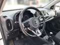 Kia Picanto Titan Klima Sitz+Lenkradheitzung Weiß - thumbnail 15