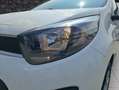 Kia Picanto Titan Klima Sitz+Lenkradheitzung Weiß - thumbnail 8