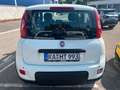 Fiat Panda Pandina - thumbnail 4