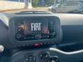 Fiat Panda Pandina - thumbnail 7
