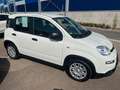 Fiat Panda Pandina - thumbnail 1