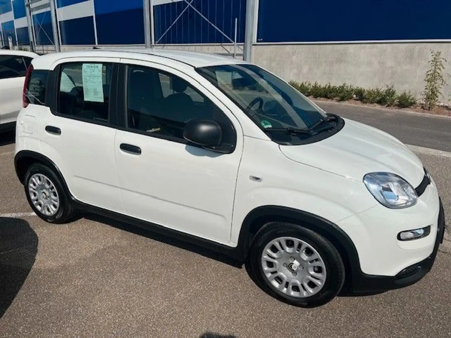 Fiat Panda Pandina - 1