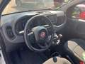 Fiat Panda Pandina - thumbnail 6