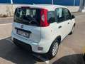 Fiat Panda Pandina - thumbnail 5