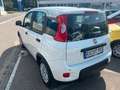 Fiat Panda Pandina - thumbnail 3