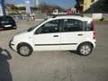 Fiat Panda 1.2 Dynamic Class GPL GARANTITA FULL OPTIONA Bianco - thumbnail 4