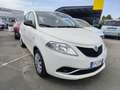 Lancia Ypsilon Ypsilon 1.2 69 CV 5 porte Gold Blanco - thumbnail 7