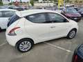 Lancia Ypsilon Ypsilon 1.2 69 CV 5 porte Gold Blanco - thumbnail 6