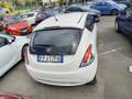 Lancia Ypsilon Ypsilon 1.2 69 CV 5 porte Gold Blanco - thumbnail 8