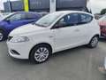 Lancia Ypsilon Ypsilon 1.2 69 CV 5 porte Gold Blanco - thumbnail 3