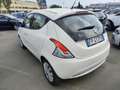 Lancia Ypsilon Ypsilon 1.2 69 CV 5 porte Gold Blanco - thumbnail 4