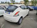 Lancia Ypsilon Ypsilon 1.2 69 CV 5 porte Gold Blanco - thumbnail 5