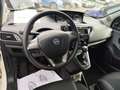 Lancia Ypsilon Ypsilon 1.2 69 CV 5 porte Gold Blanco - thumbnail 11