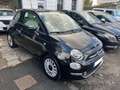 Fiat 500 500 1.2 69 ch Eco Pack Lounge - thumbnail 5
