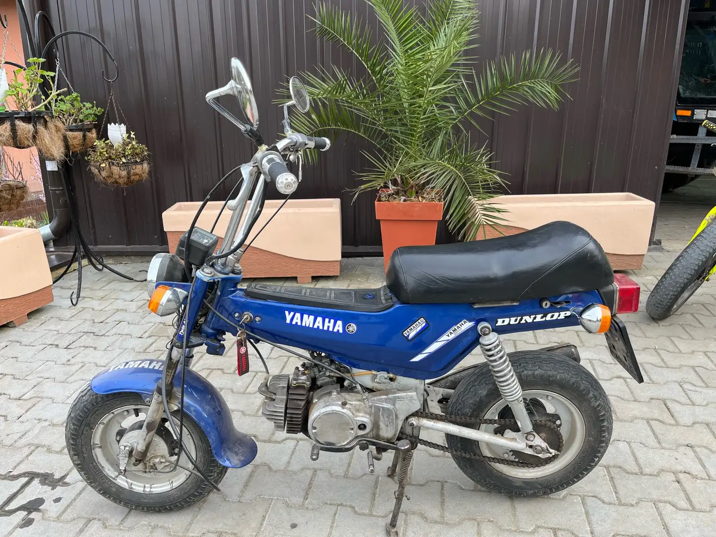 Yamaha Bop - 1