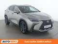 Lexus NX 450h+ NX 450h+ E-Four Grau - thumbnail 8