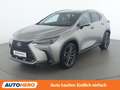 Lexus NX 450h+ NX 450h+ E-Four Grau - thumbnail 1